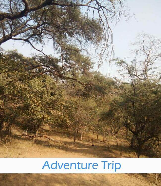 Adventure Trip