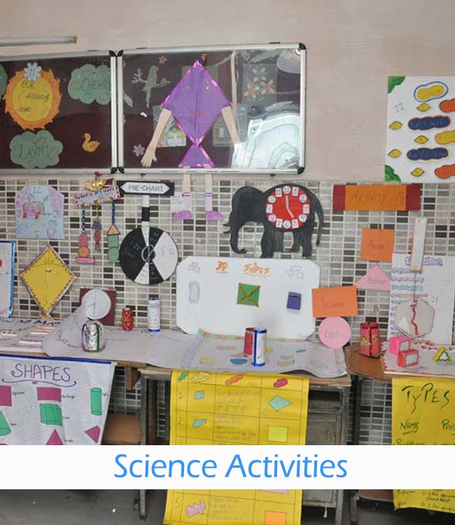 Science Activity